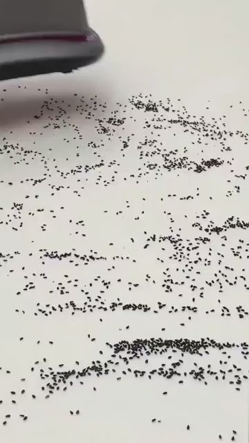Cordless Vacuum Cleaner Mite Removal